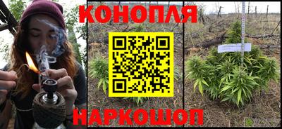 прущие грибы Обь