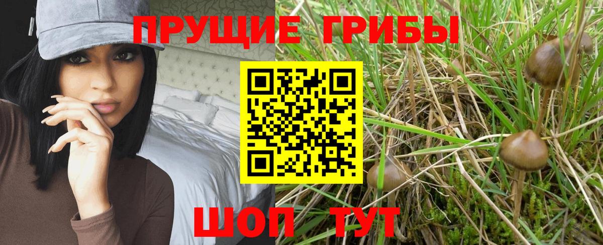 Псилоцибиновые грибы Psilocybe  Псилоцибиновые грибы MAGIC MUSHROOMS  Вход с VPN  Рассказово 