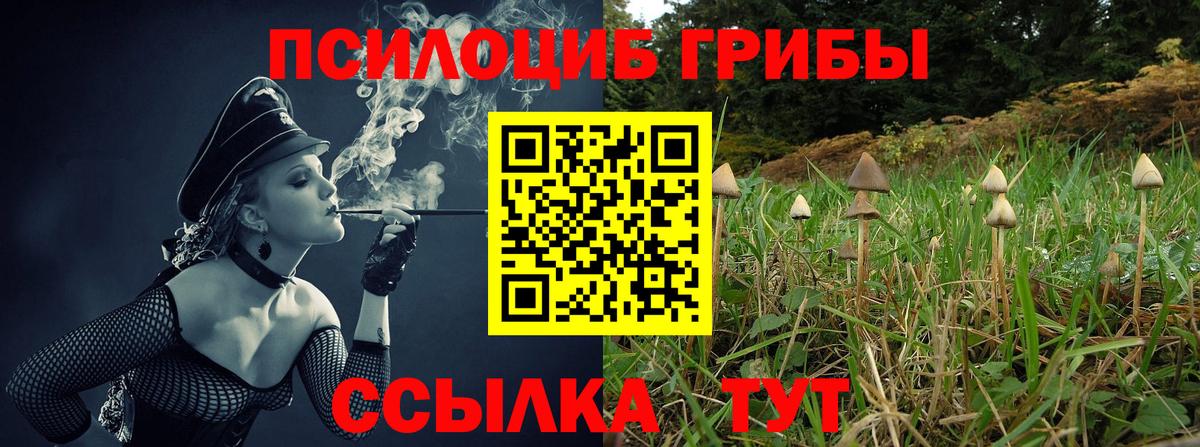 Галлюциногенные грибы мухоморы Рассказово